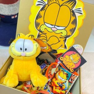 Tienda regalos originales Madrid caja personalizada garfield