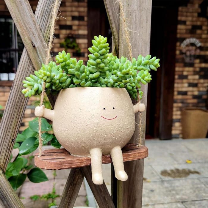 Planta con maceta personalizada como regalo original
