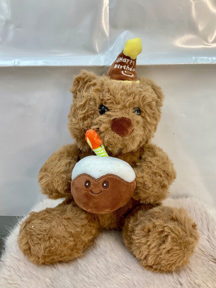 Osito de peluche con pastel de cumpleaños