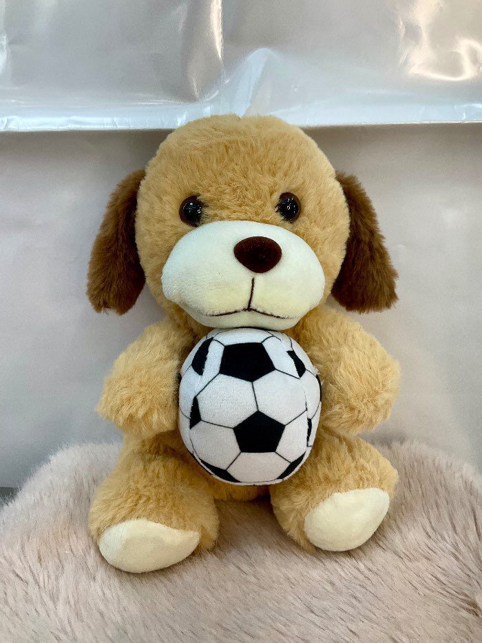 Perrito con balon