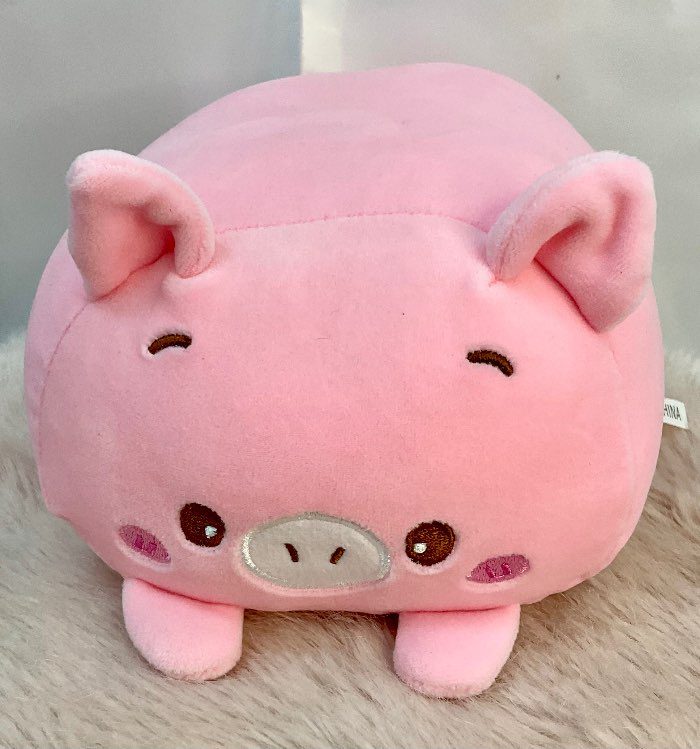Cerdito descansando