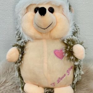 Erizo con corazón