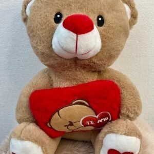 Osito de peluche con cojín te amo