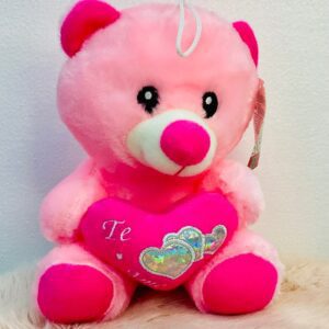 Osito de peluche con corazon