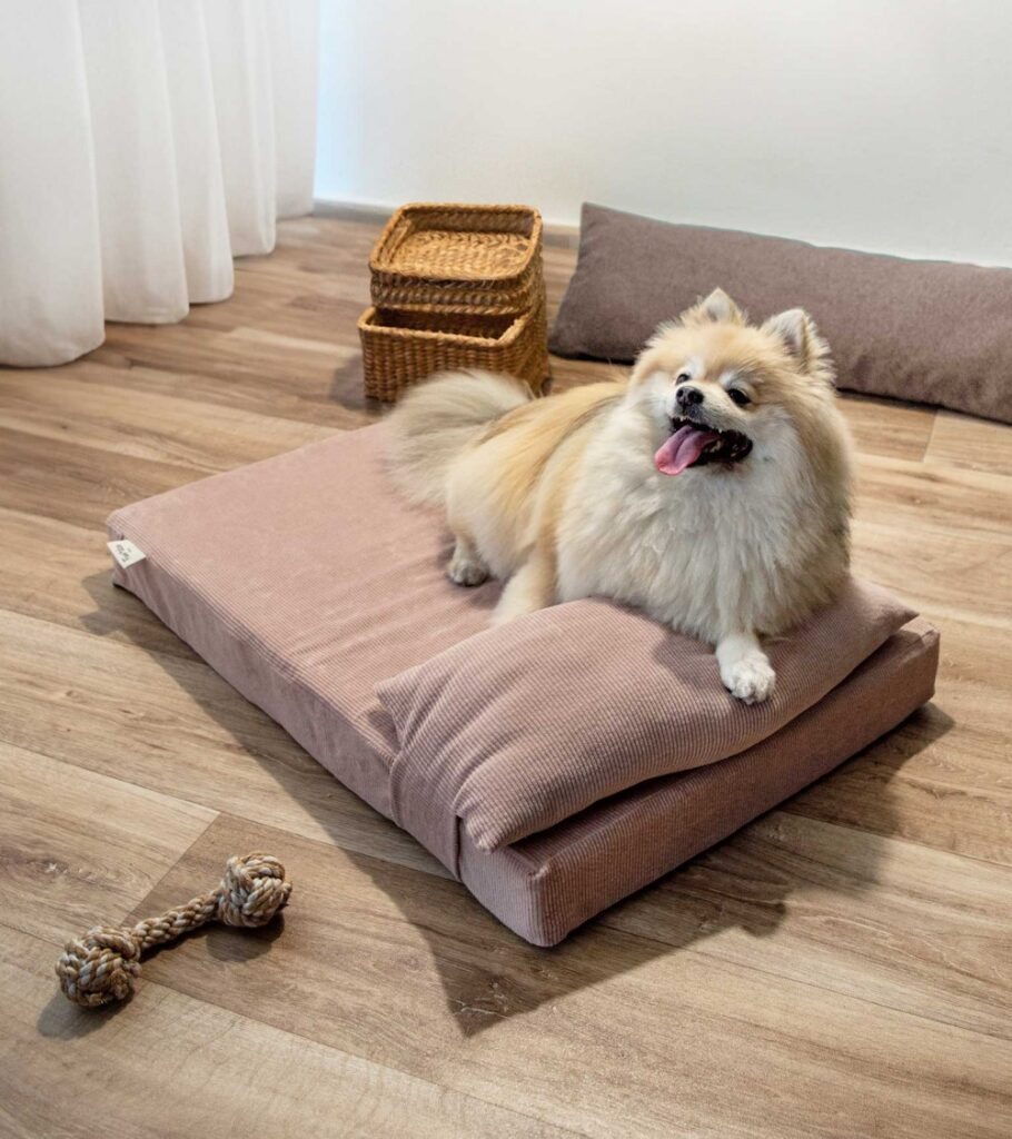 cama para perros