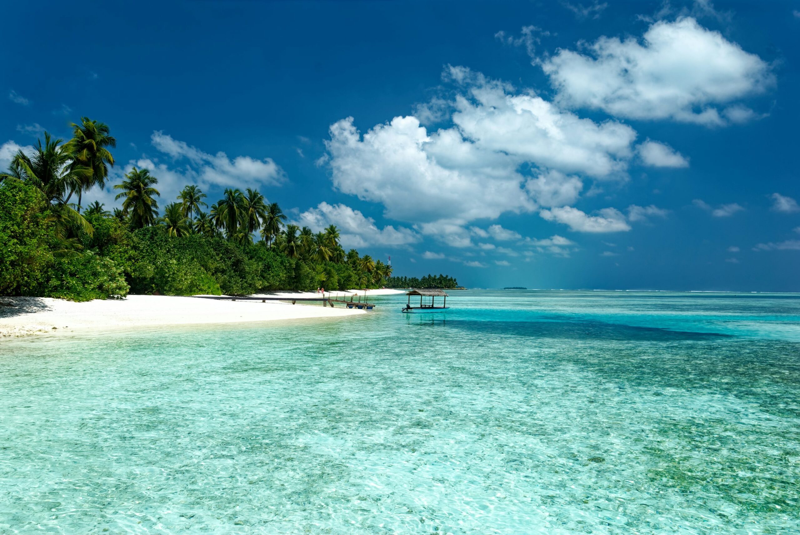 Playa de arena blanca con agua turquesa y palmeras junto al mar
