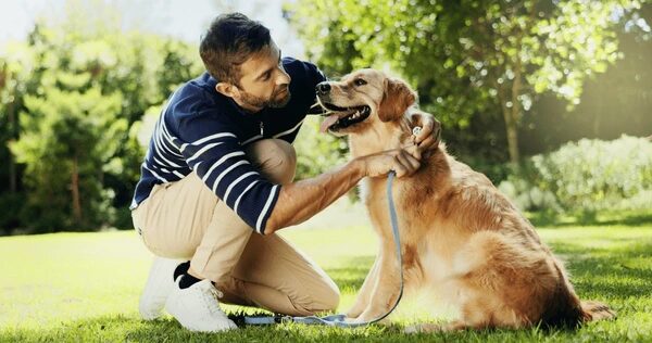dueño enseñando trucos básicos a su perro en casa
