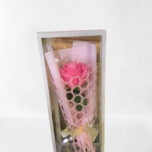 Rosas de luces led