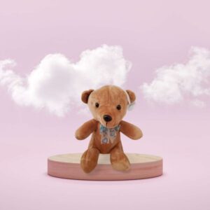 Colourful teddy bears