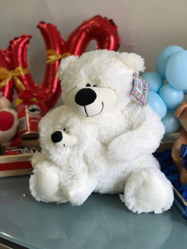 Teddy bears in various models
