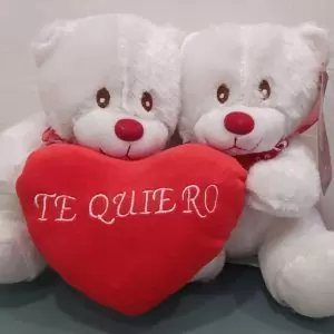 teddy bears heart