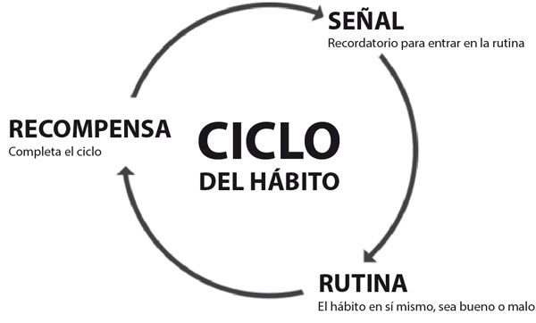cycle