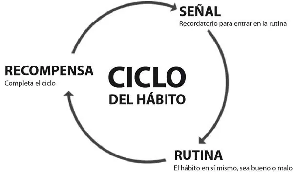 ciclo
