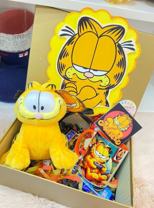 Tienda regalos originales Madrid caja personalizada garfield