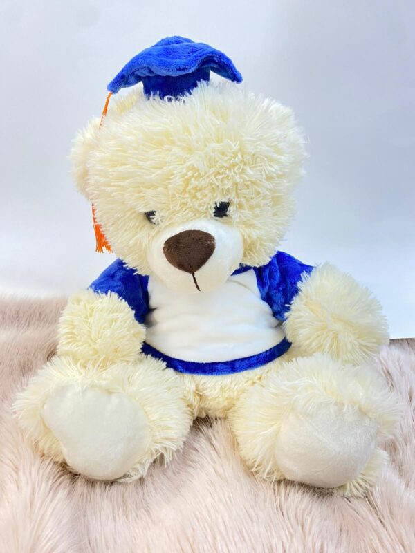 Tienda regalos originales Madrid Daelva Peluche oso graduado tienda regalos