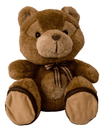 oso peluche de regalos
