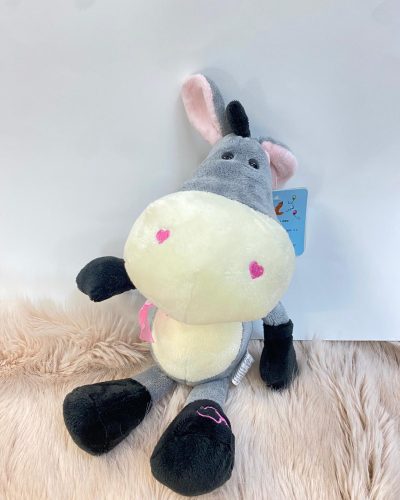 Burro